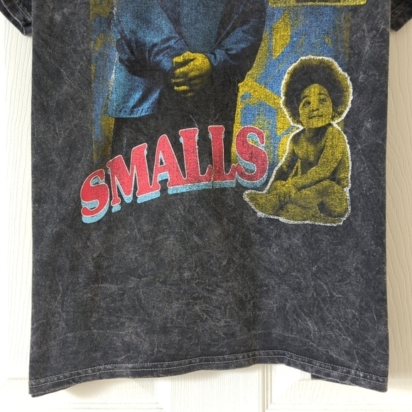 The Notorious B.I.G. Biggie Smalls Graphic Short Sleeve Crewneck T-shirt Gray L - Picture 6 of 9